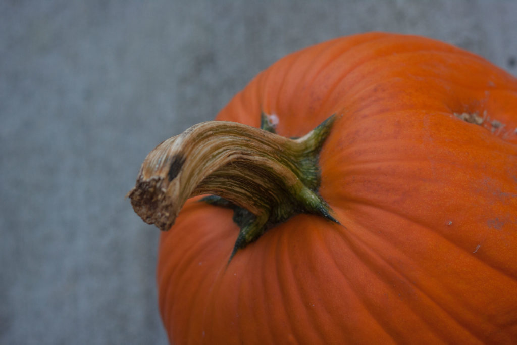 Halloween Superstitions